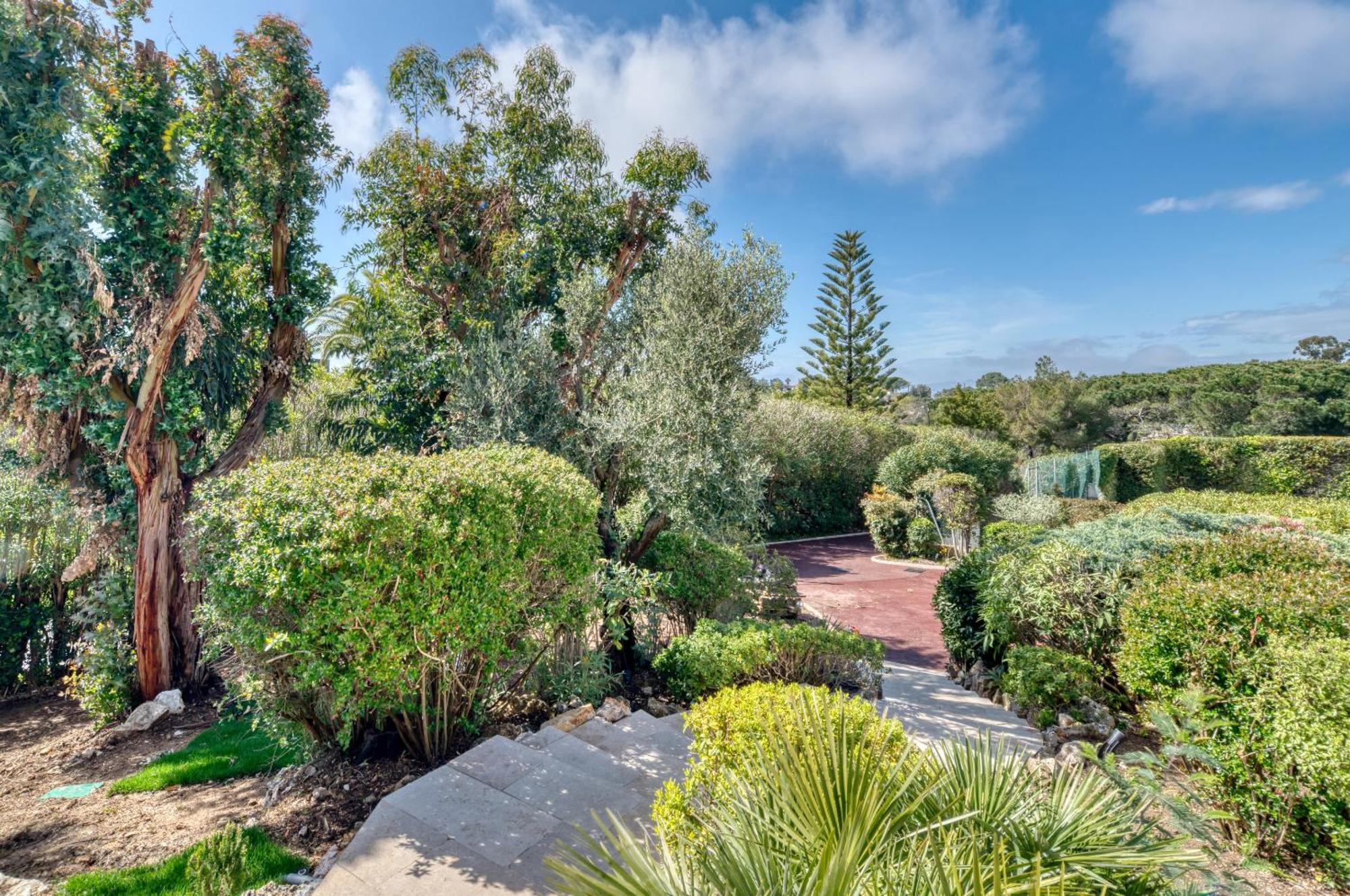Villa Ambre Nuit Cannes Exterior photo